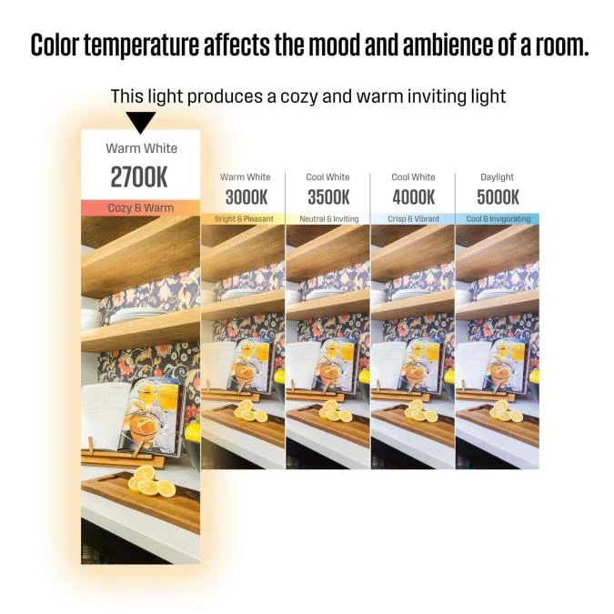 5.5W T10 Filament LED Dimmable Clear 2700K E26 (Medium) Base - Image 6