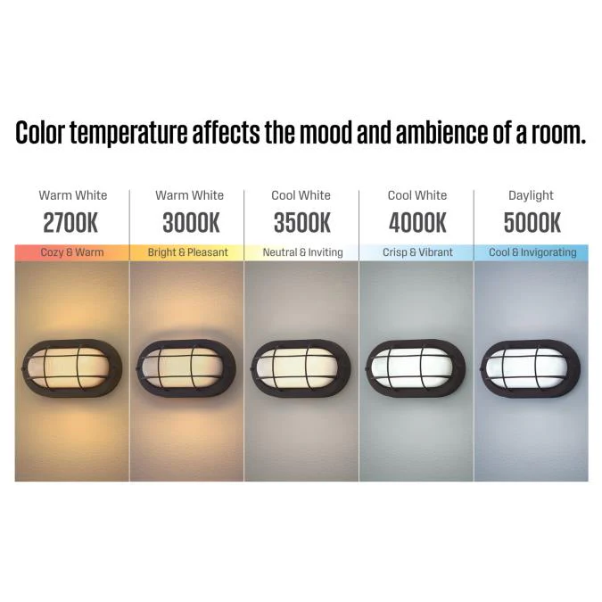 9 Inch, 6-Watt Dimmable LED Outdoor Wall Fixture - Image 5