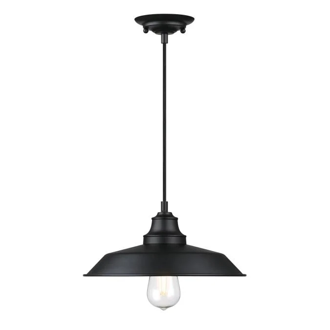 Iron Hill Pendant, Matte Black Finish - Image 5